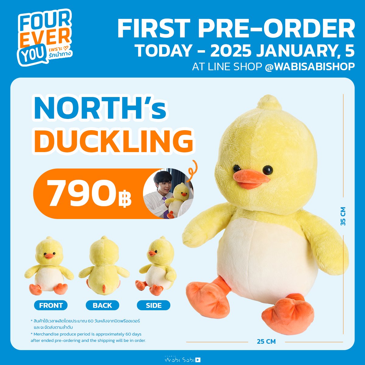 NORTH’s DUCKLING | FOUREVERYOU