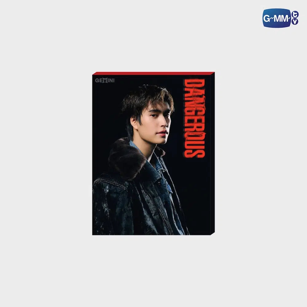 DANGEROUS PHOTO SET | GEMINI NORAWIT