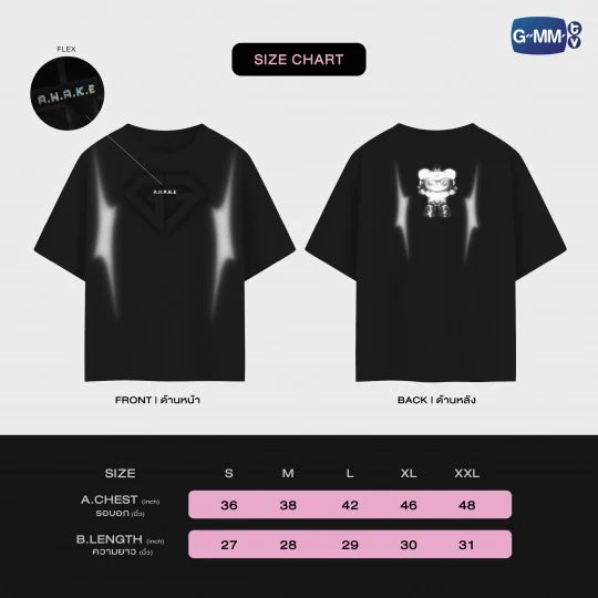 GEMINI FOURTH A.W.A.K.E CONCERT OFFICIAL T-SHIRT
