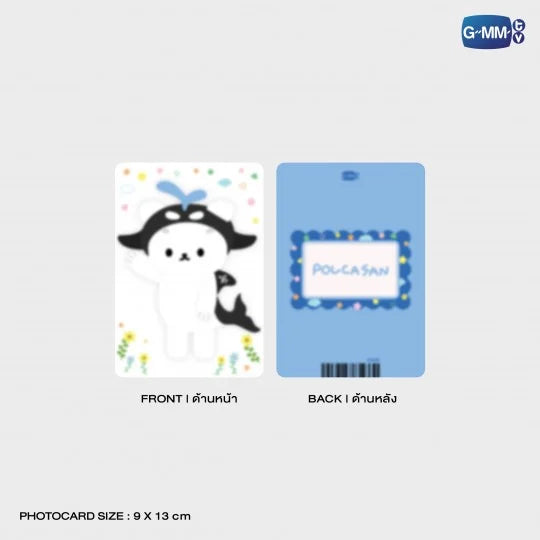 POLCASAN CLEAR POUCH
