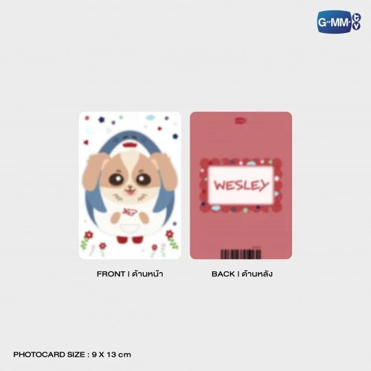WESLEY CLEAR POUCH
