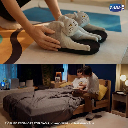 CAT CHEER CAFE SLIPPERS | CAT FOR CASH