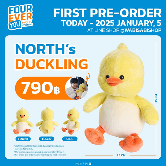 NORTH’s DUCKLING | FOUREVERYOU