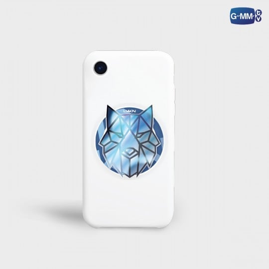 LYKN MAGSAFE GRIPTOK