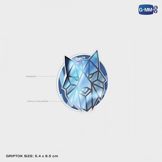 LYKN MAGSAFE GRIPTOK