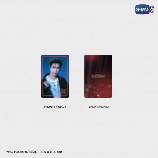 GEMINI NORAWIT METAL LOGO PIN