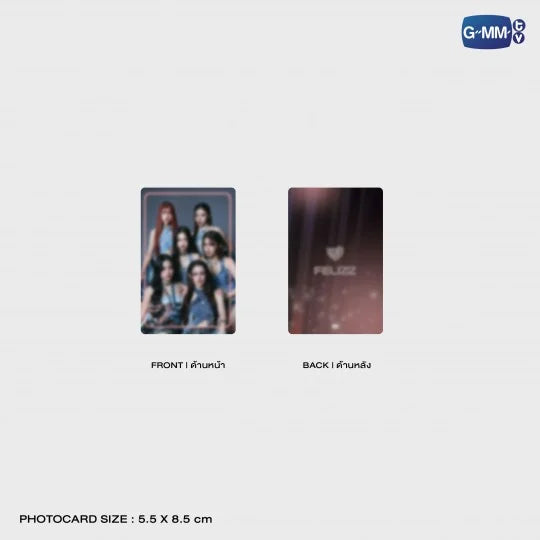 FELIZZ METAL LOGO PIN