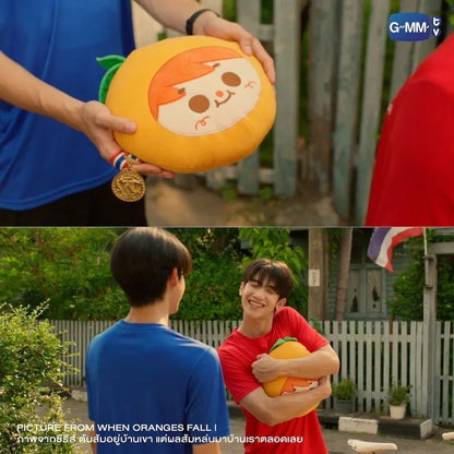 ORANGE PILLOW | WHEN ORANGES FALL