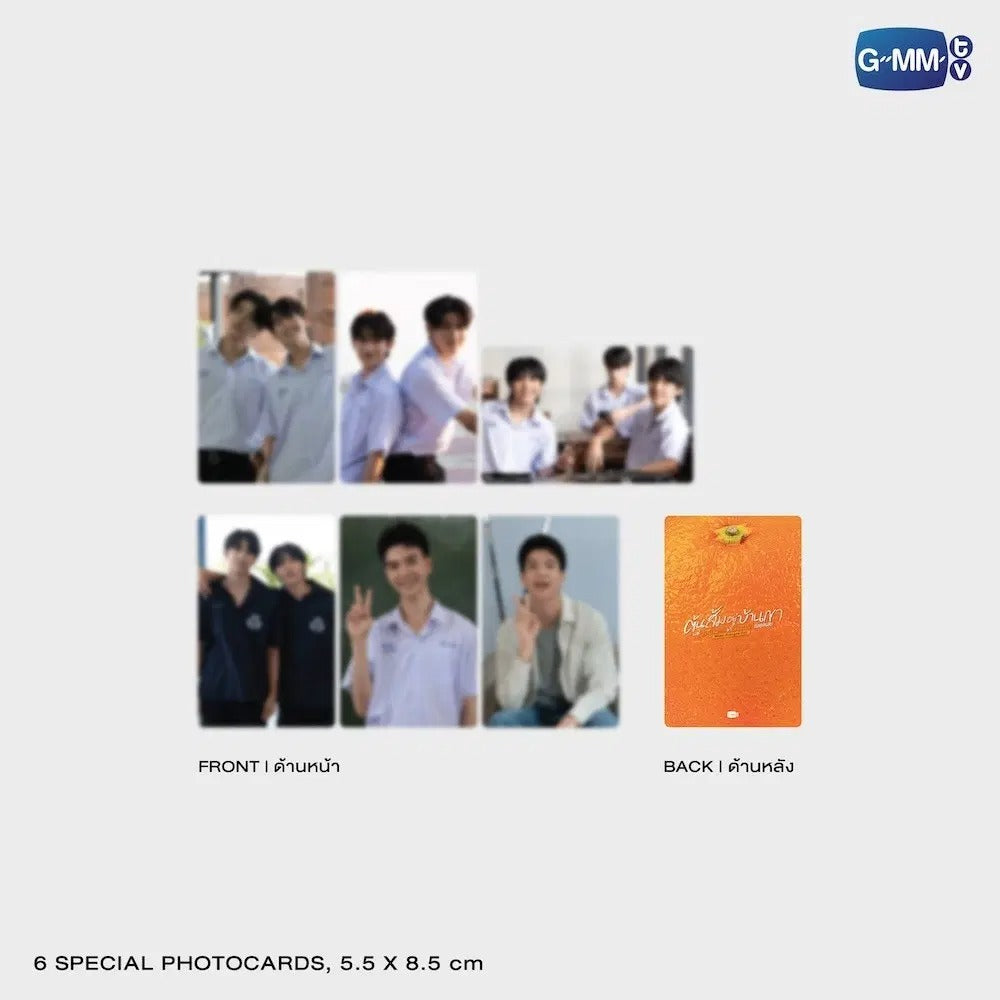 WHEN ORANGES FALL MEMORIAL BOXSET