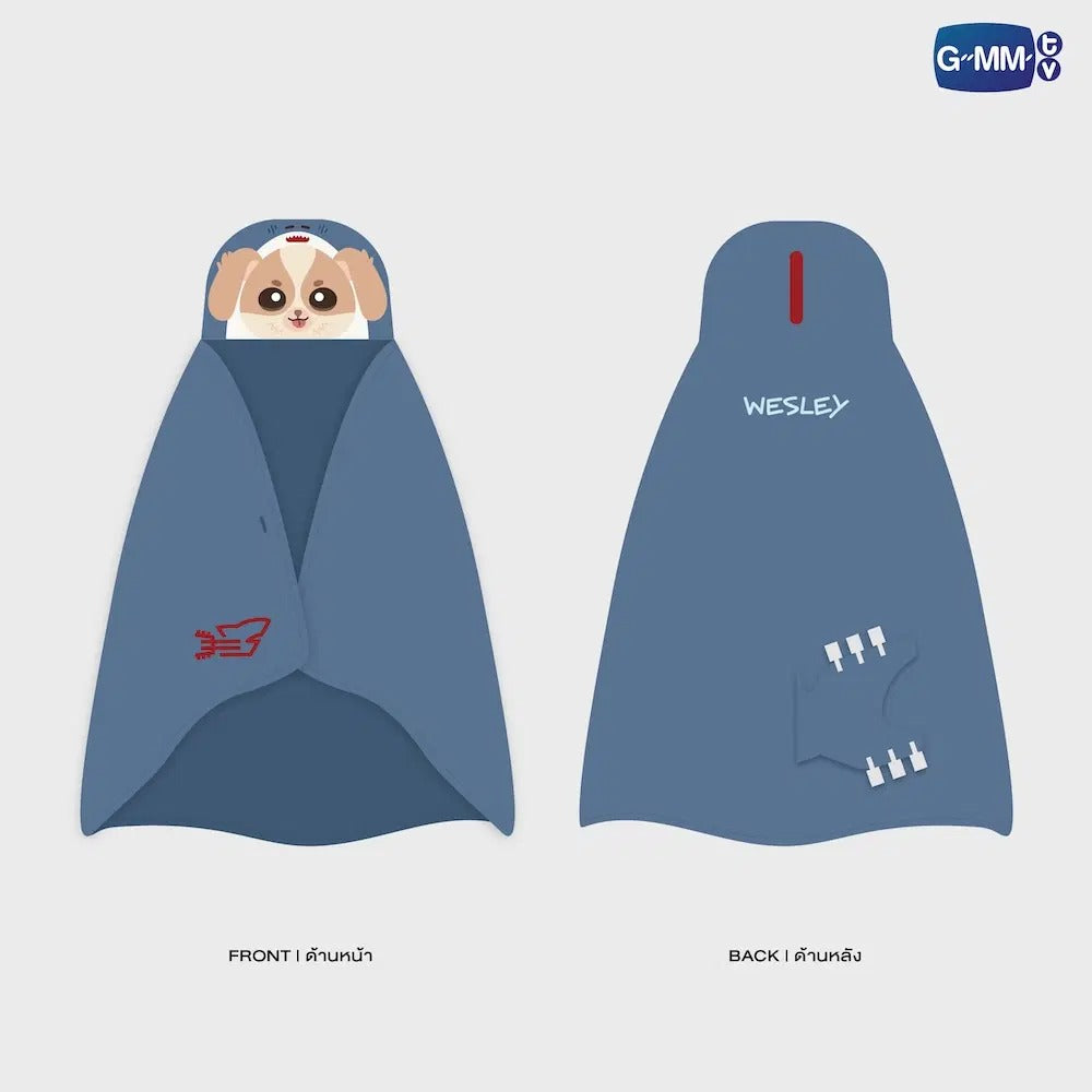 FANIVAL 2026 | HOODIE BLANKET
